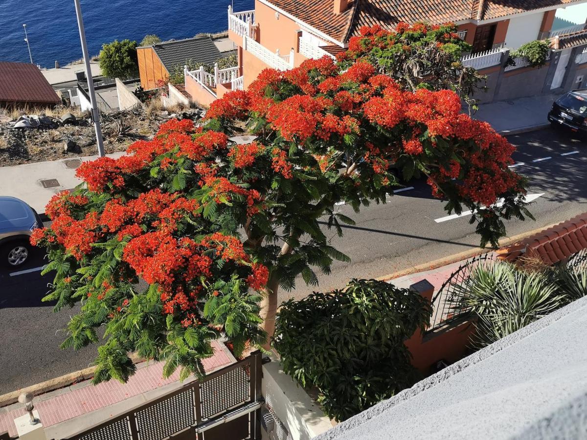 Balcon De Costanera Villa ซานตาครูซ เด เตเนริเฟ ภายนอก รูปภาพ
